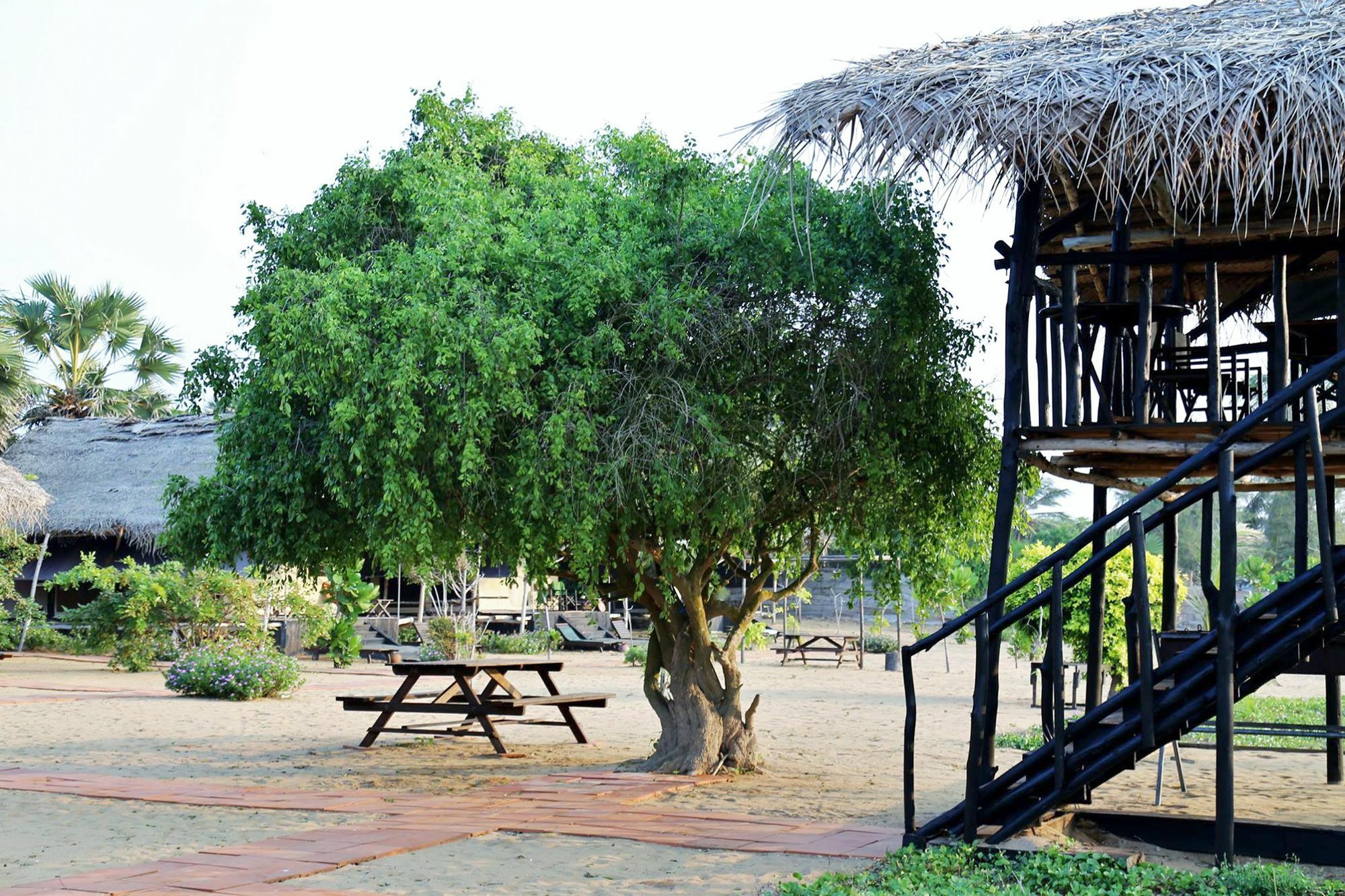 The Beach Camp Yala Киринда Экстерьер фото